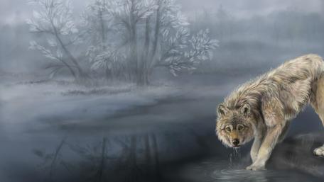 Mystical Wolf by the Misty Lake wallpaper