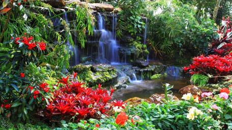 Tranquil Waterfall Garden Oasis wallpaper