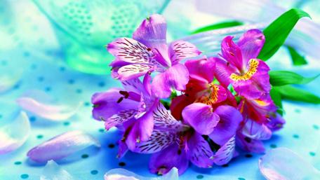 Elegant Pink Flower Arrangement for Serenity Moving Forward wallpaper