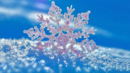 Winter's Delicate Masterpiece wallpaper