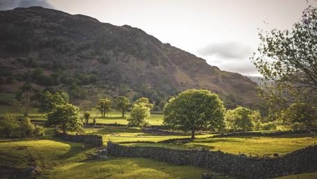 Serene Green Landscape in Nature's Embrace wallpaper