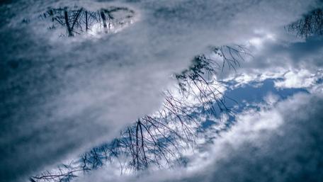 Serene Reflections in Nature's Puddle wallpaper