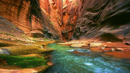 Majestic Canyons of the United States wallpaper