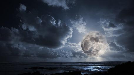 Full Moon Illuminating the Night Horizon wallpaper
