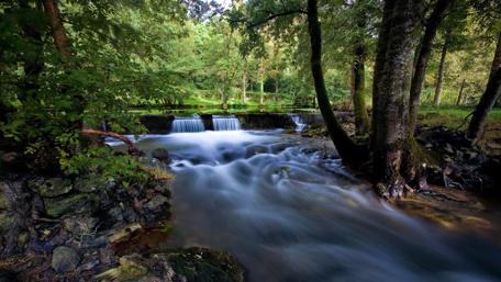 Serene Waterfall in Lush Greenery wallpaper