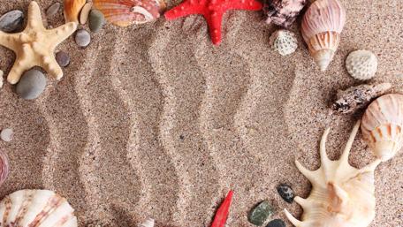 Beach Treasures in Serene Sandscape wallpaper
