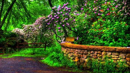 Tranquil Garden Escape wallpaper