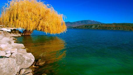 Solitude by the Waterside wallpaper
