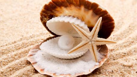 Seashells and Pearl on Sandy Beach wallpaper
