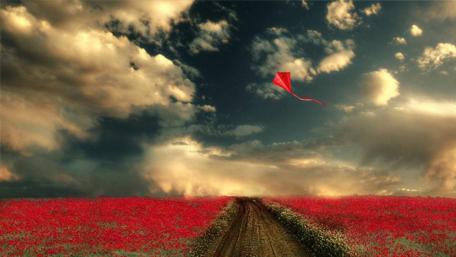 Vibrant Kite Over a Flower Field wallpaper