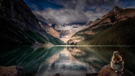 Victoria Glacier reflected in the Lake Louise, Canada wallpaper