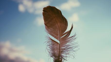 Elegant Feather Against a Serene Sky wallpaper