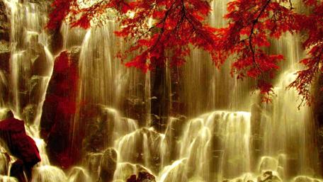 Ramona Falls in Mount Hood wallpaper
