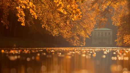 Golden Reflections of Autumn Serenity wallpaper