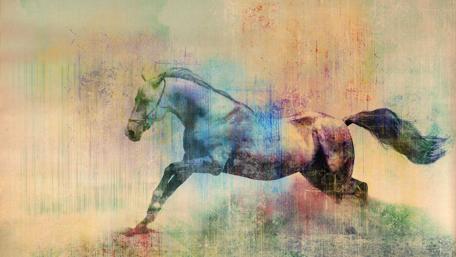 Majestic Horse in Abstract Colors wallpaper