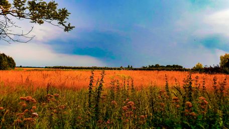 Vibrant Fields Under Dramatic Skies wallpaper