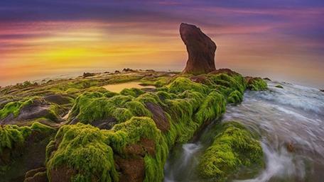 Serene Mossy Landscape at Sunset in Vietnam wallpaper