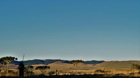 Serenity in the Pampa Landscape wallpaper