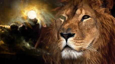 Celestial Majesty: The Cosmic Lion wallpaper
