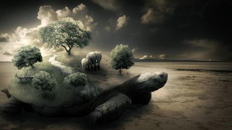 Grand Turtle of the Dreamscape wallpaper