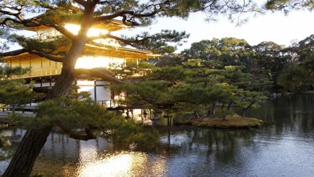 Golden Reflections at Kinkaku-ji Temple wallpaper