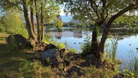 Serene Riverside Landscape in 4K Quality wallpaper