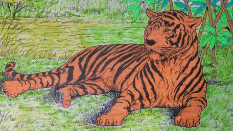 Vibrant Tiger in Its Natural Habitat wallpaper