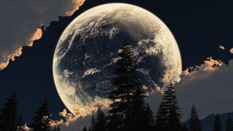 Full moon with pines silhouette wallpaper