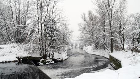 Serene Winter Wonderland wallpaper