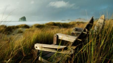 Grassy sand dunes on the beach wallpaper