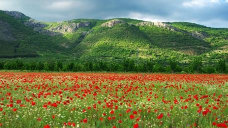 Kyustendil, Bulgaria wallpaper