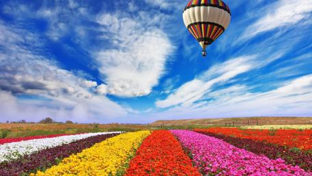 Air balloon on the sky wallpaper