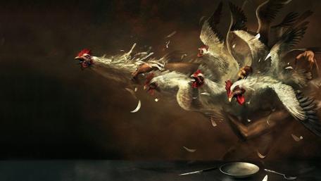 Crazy chickens wallpaper