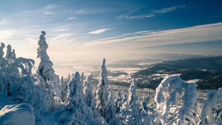 Winter landscape wallpaper