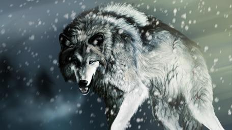 Artistic wolf wallpaper