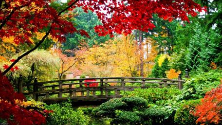 Colorful park wallpaper