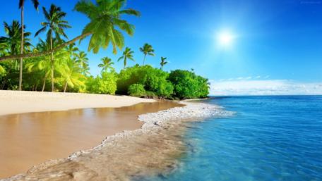 Tropical beach wallpaper