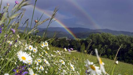Rainbow over the hills wallpaper