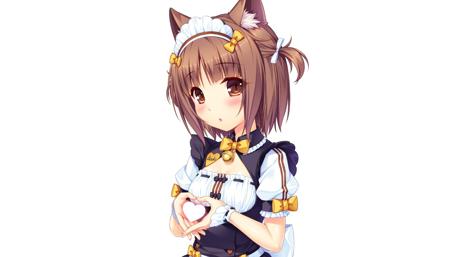 Cute Anime Catgirl in Maid Outfit wallpaper