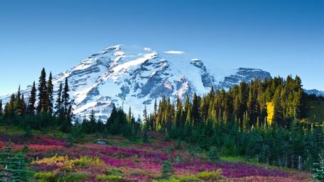 Nisqually Glacier landscape wallpaper