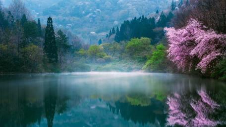 Lake in South Korea wallpaper