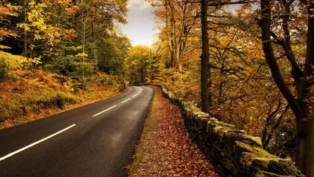 Autumn in Iran wallpaper