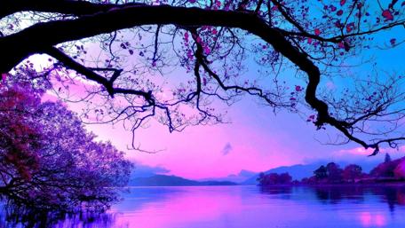 Purplish blue landscape wallpaper
