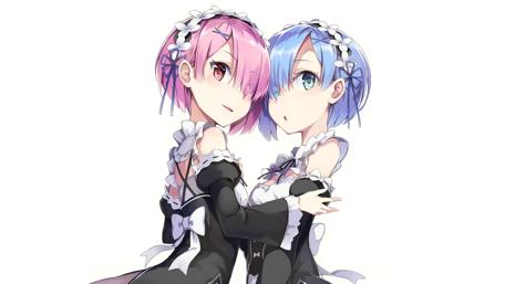 Twin Maids in Anime Style wallpaper