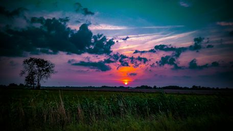 Sunset in the meadow wallpaper