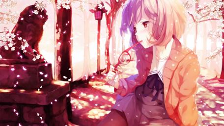 Cherry Blossom Daydreams wallpaper