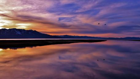 Water reflection wallpaper