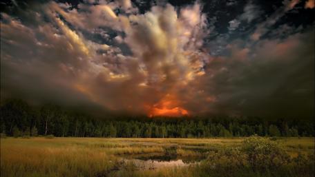 Forest Fire wallpaper