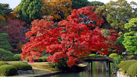 Rikugien Gardens -Tokyo, Japan wallpaper