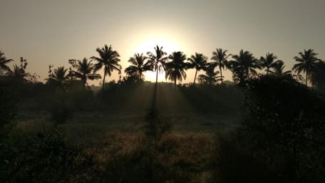 Sunrise wallpaper